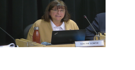 Opposition pushing transparency issues at Laval council - Vimarsana News