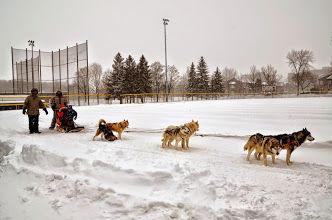 Csl S Winter Carnival Takes Place Feb 17 City News
