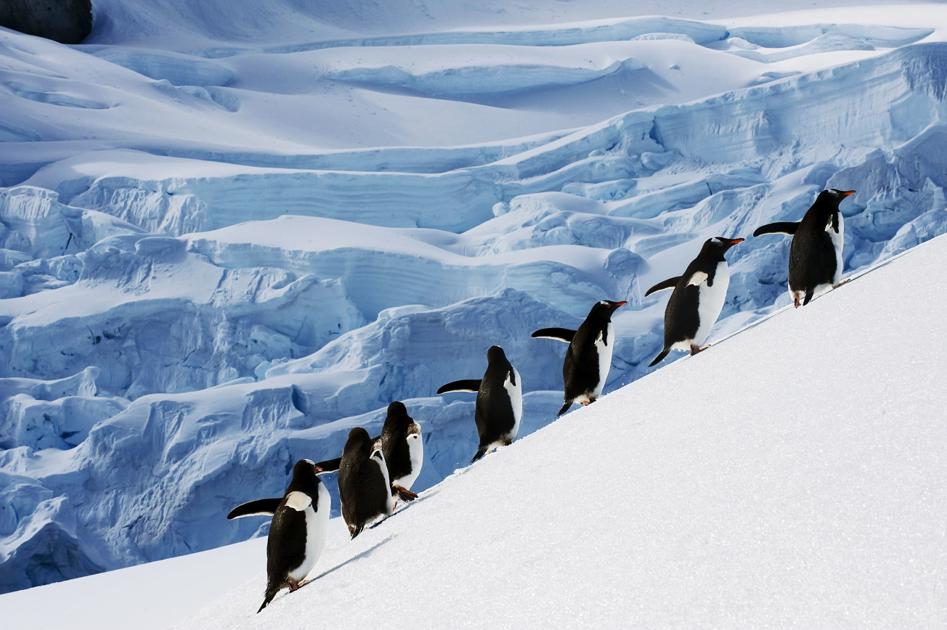Travel to the South Pole is for the truly adventurous (and wealthy