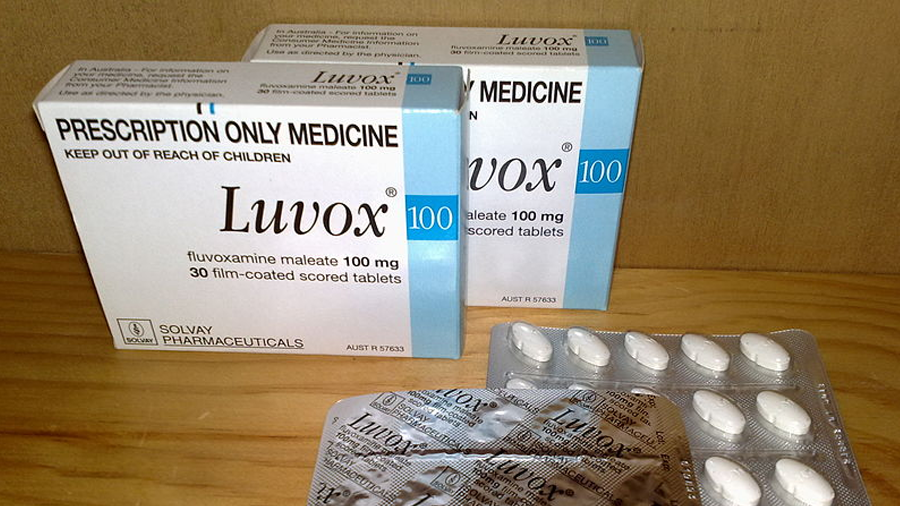 Buy Luvox Online