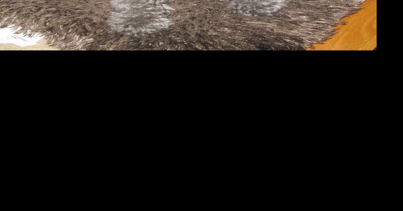 Judie Amyot: Need a mix fix? | Judie Amyot Pet Tails ...