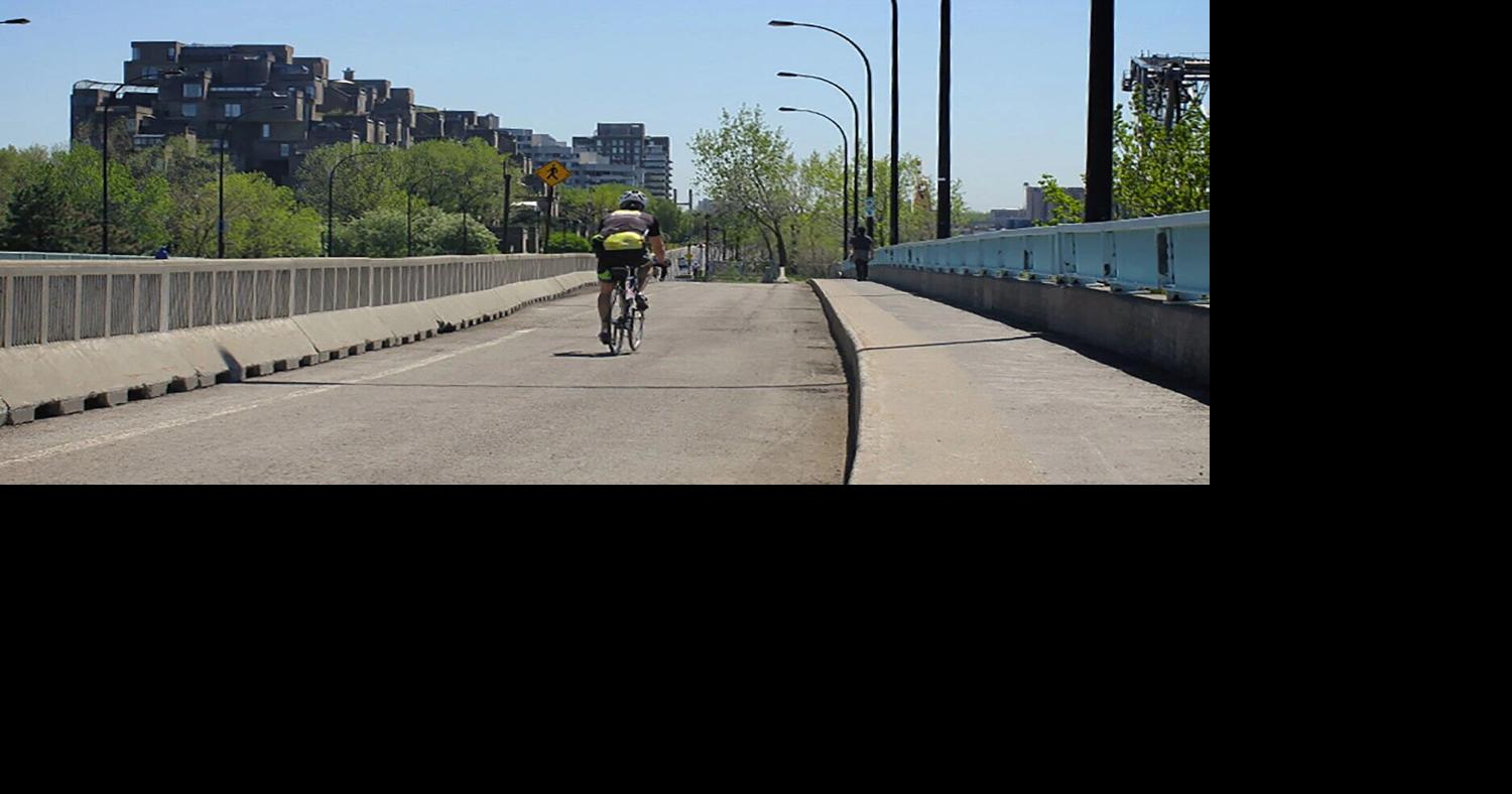 Why can't we all — motorists, cyclists, pedestrians — just get along?