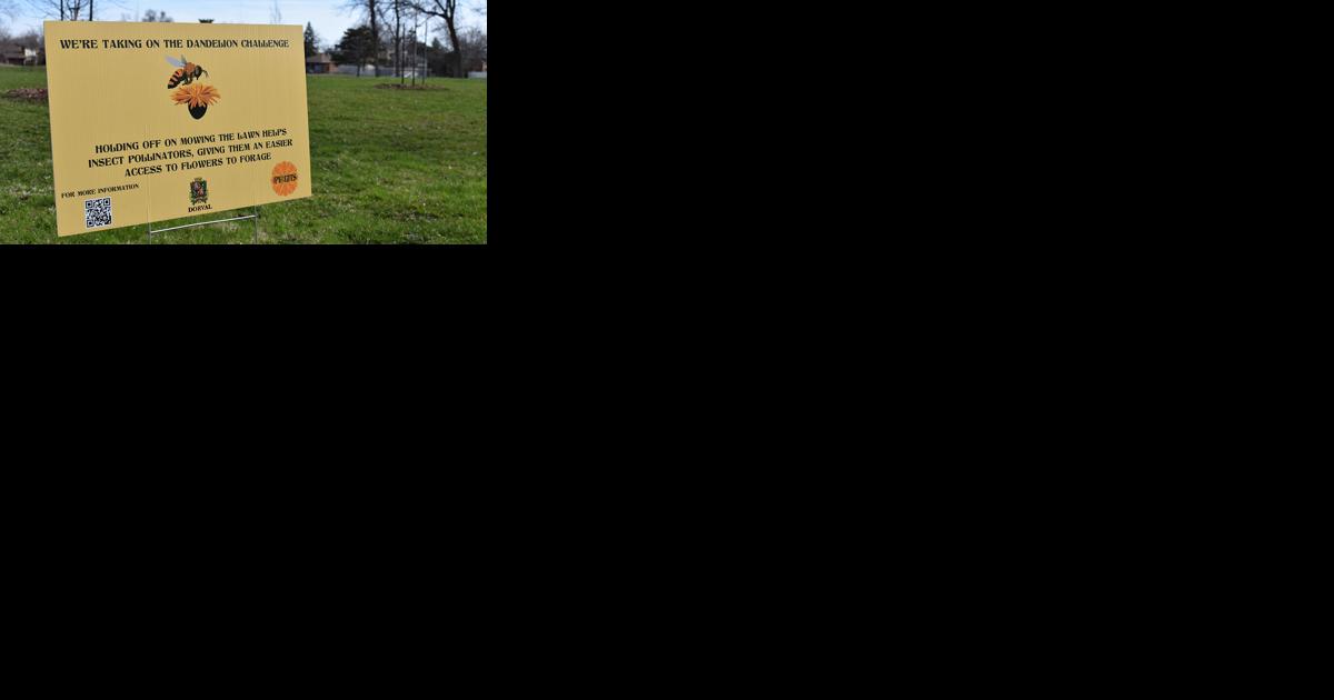 Around Towns - West Island - Vimarsana News