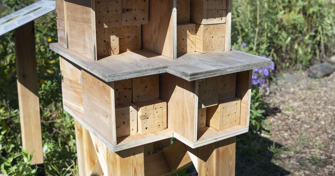 Vanier College unveils new bee hotel