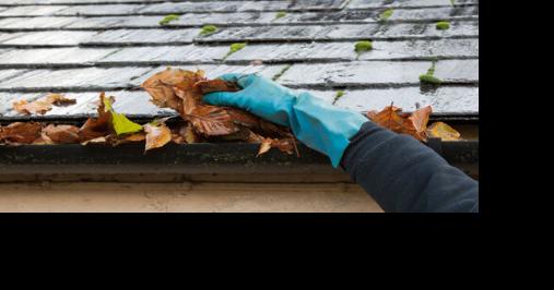 Melany Of MList: Spring home maintenance - Vimarsana News