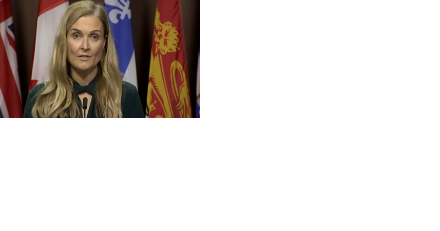 Stop the madness —lead the country!: Canadian Party of Quebec - Vimarsana News