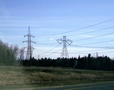Hydro Holds Off On Cutting Down Csl Trees City News Thesuburban Com