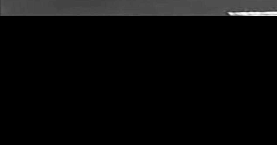 Walter (“Rocky”) Leja A Canadian Hero OP / ED