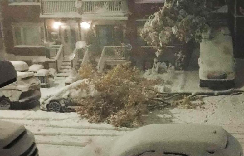 Heavy wet snow results in widespread power outages across Southern ...