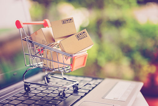 Parenting 101: Hard and steadfast rules of online shopping - Vimarsana News