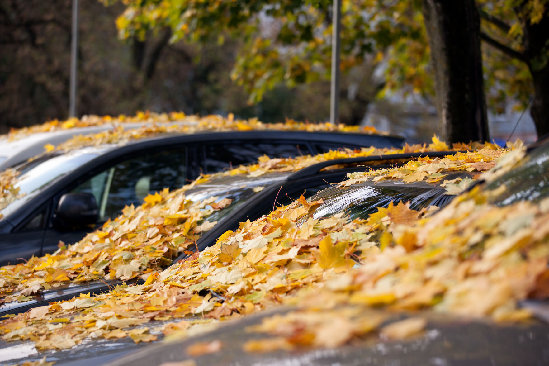 Classic Great Lakes fall storm to impact Ontario & Quebec | Suburban ...