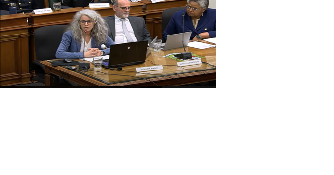 Montreal anti-racism commissioner promises not to attend anti-Israel rallies - Vimarsana News