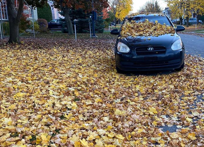 Recordbreaking warm Halloween in Montreal Suburban Weather