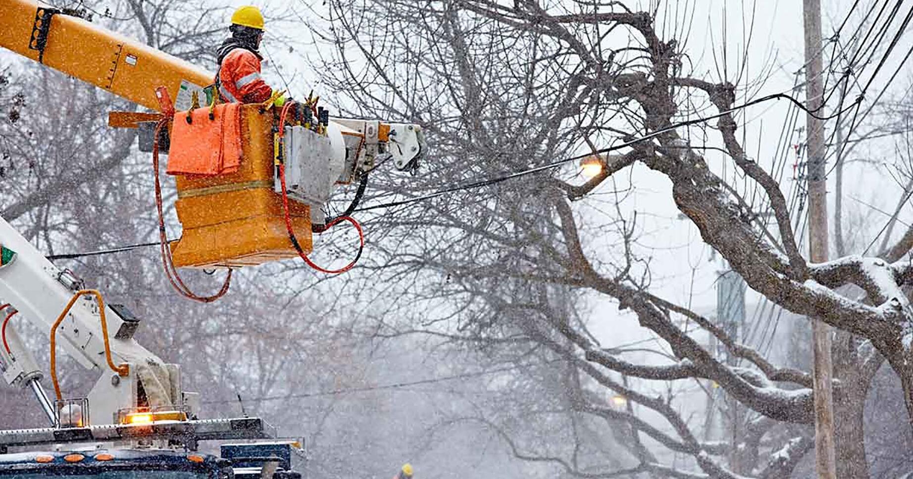 More planned outages in CSL Feb . 1 and 3