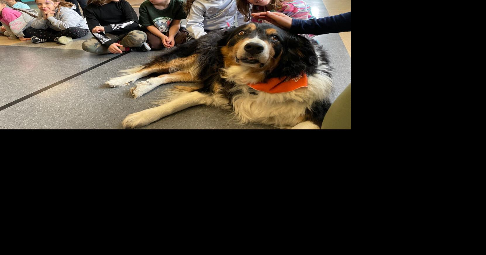 Kirkland elementary school holds Mindfulness Day West Island News