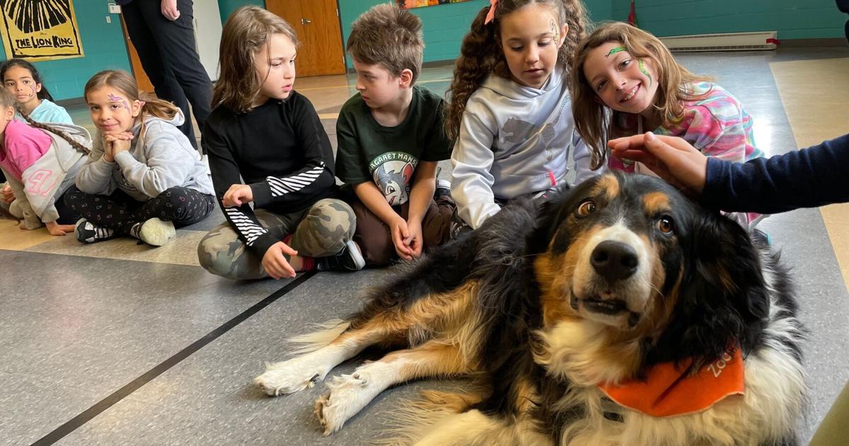 Kirkland elementary school holds Mindfulness Day West Island News