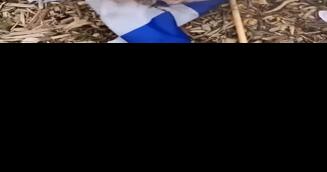 Teen who burned Israeli flags in DDO violates probation - Vimarsana News