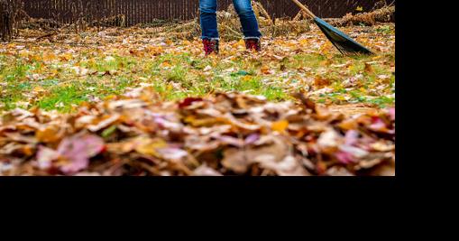 Houses & Homes: Outdoor fall prep - Vimarsana News