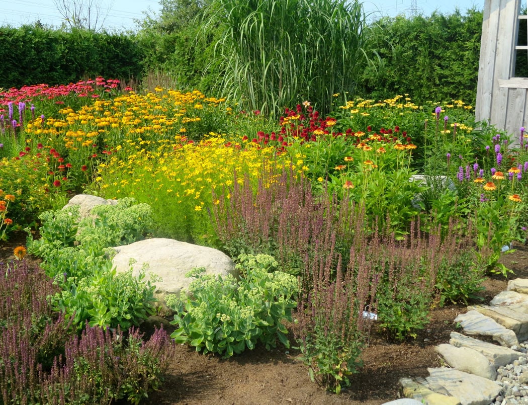 Earth Day focus: making your garden a home for pollinators | Home