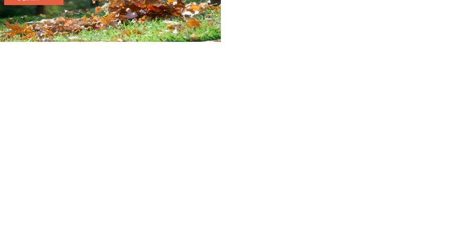 CDN-NDG clarifies use of leaf blowers - Vimarsana News