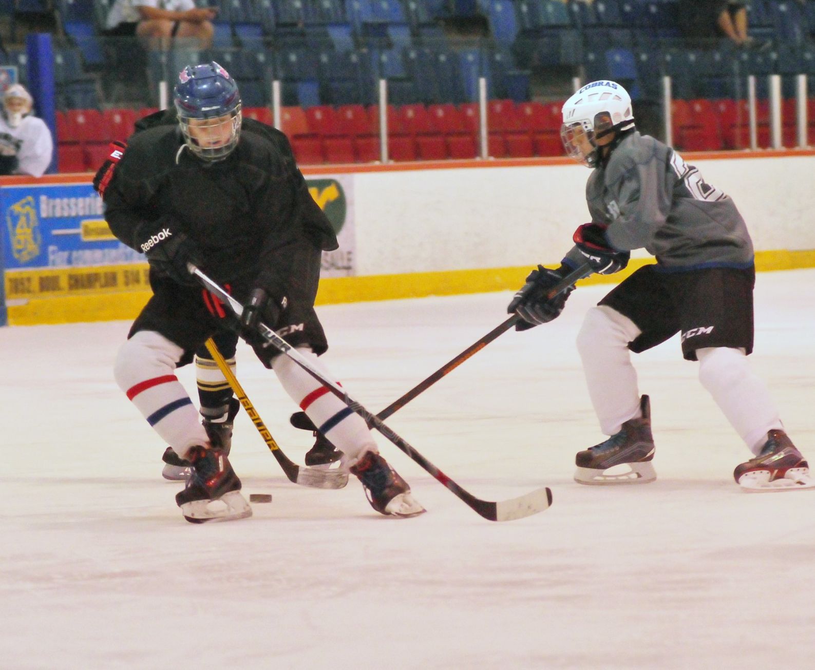 Hockey best sale montréal élite