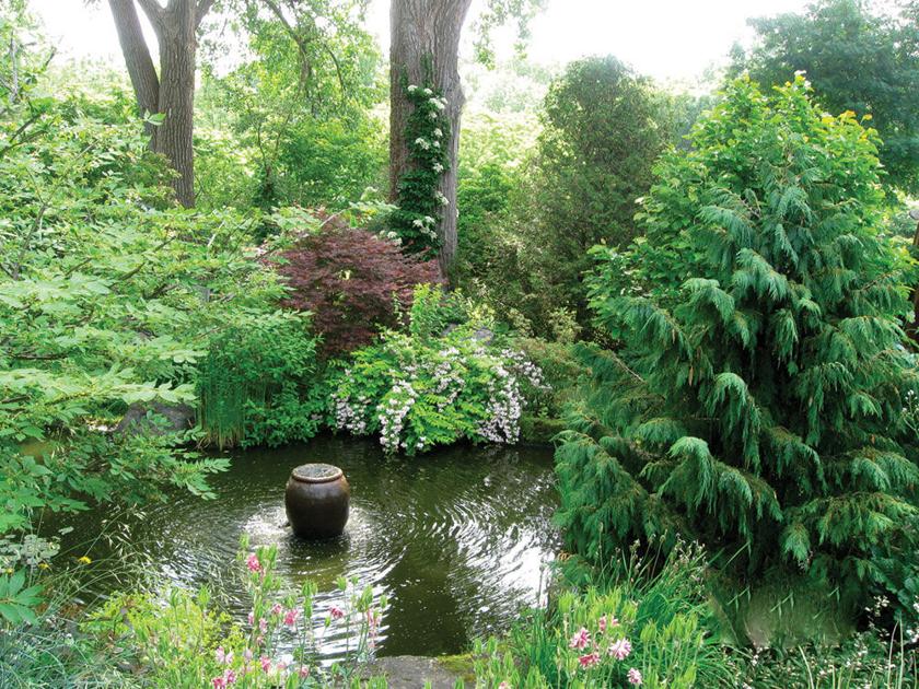 Gardening In The Shade Elaine Sanders Gardens And Landscaping Thesuburban Com
