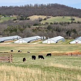 Farm income decline projected to continue in 2024 - Vimarsana News