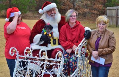 SANTA PAWS
