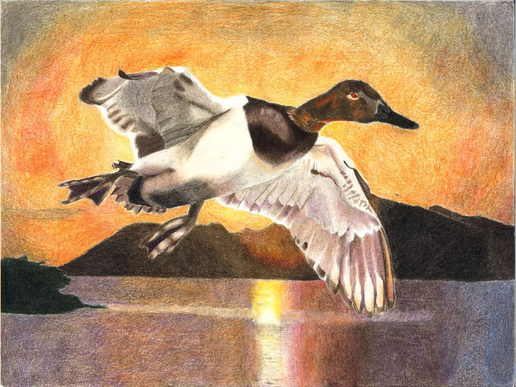 Arkansas 2024 Junior Duck Stamp Art Contest Sports thesuntimes