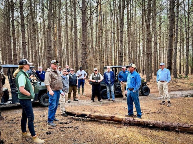Bears, bluebirds and Backcountry Hunters and Anglers highlight AGFC meeting