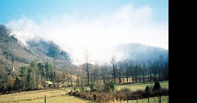 Fire officials: Please don't burn those leaves yet | Top Stories - Vimarsana News