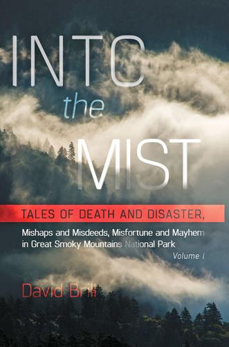 Pull Into Mist ‘Into the Mist’ available as e-book | Farm News | thesylvaherald.com