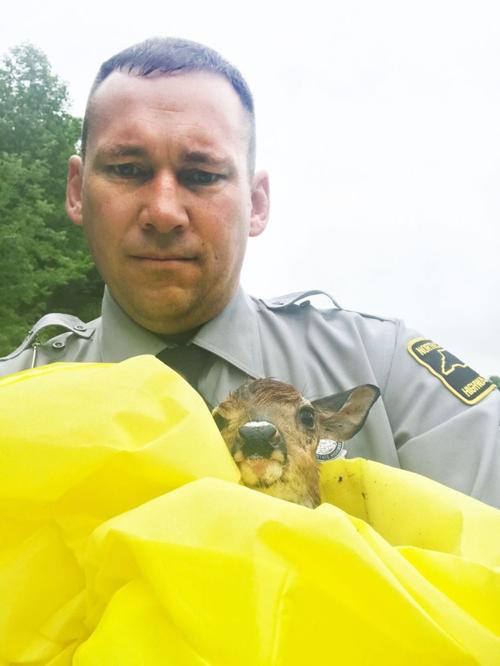 Rocky Deitz holds a newborn fawn