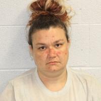 Sylva woman faces a multitude of fraud charges | Top Stories ...