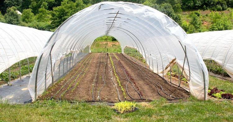 Agritourism is growing in Jackson County - Vimarsana News