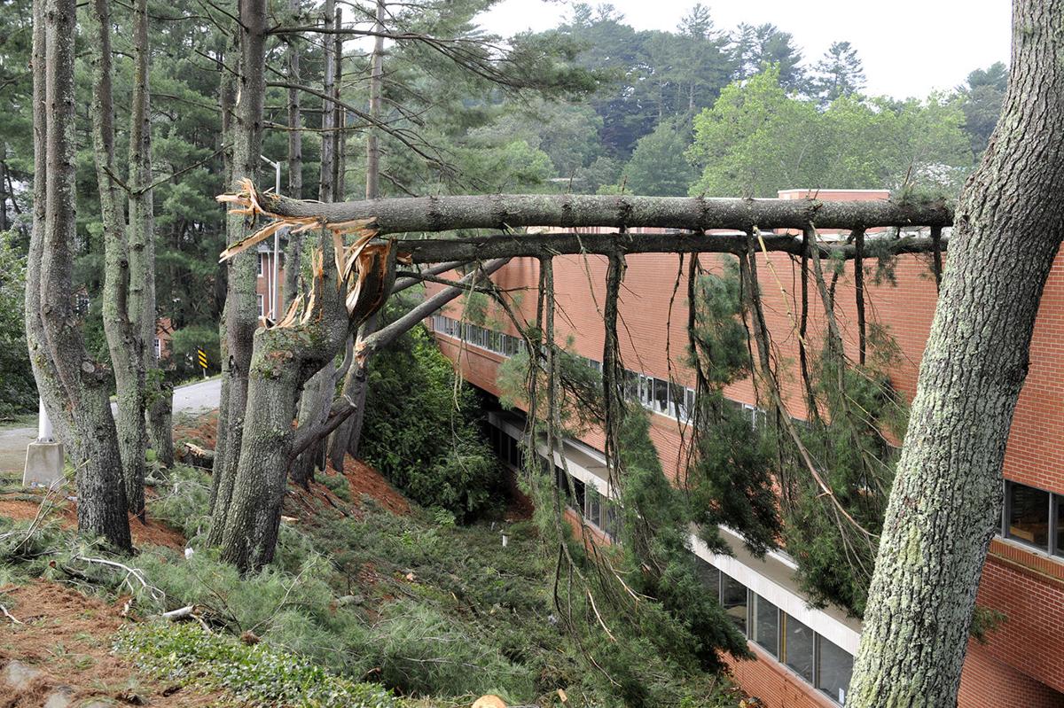 Microburst Damages Wcu Library Top Stories Thesylvaherald Com