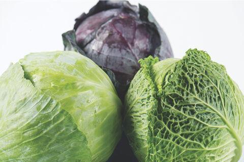When Cabbage Was King History Thesylvaherald Com
