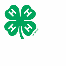 4-H starting a year loaded with activities - Vimarsana News