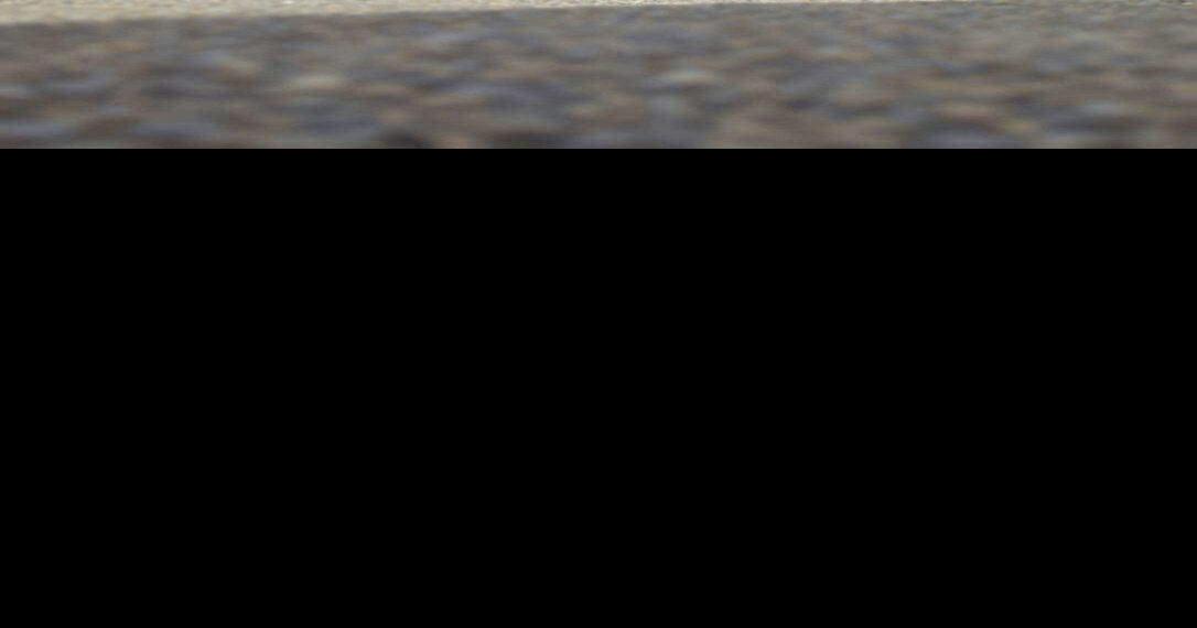 Sylva Police Department gains a K9; meet Brody News