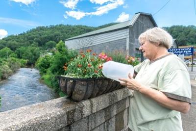 Sylva Garden Club Kathy Montgomery
