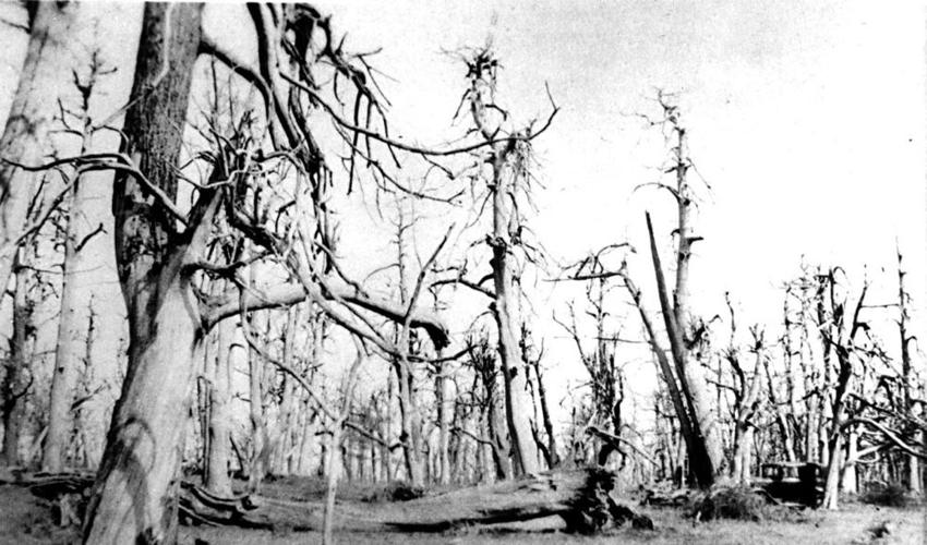 A foe, insidious and merciless, is advancing' | History ...