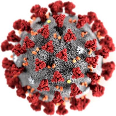 March 25 Coronavirus Coverage Top Stories Thesylvaherald Com