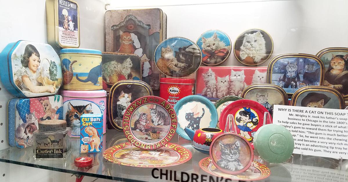 Cat museum seeks help to rise from wrath of COVID | Top Stories