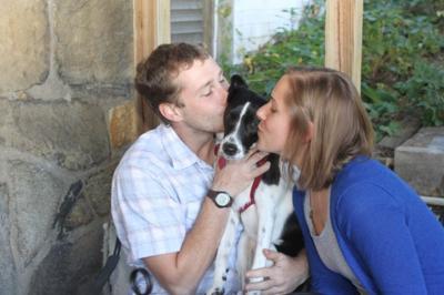 Fundraiser to benefit ARF animal protection programs | News ...