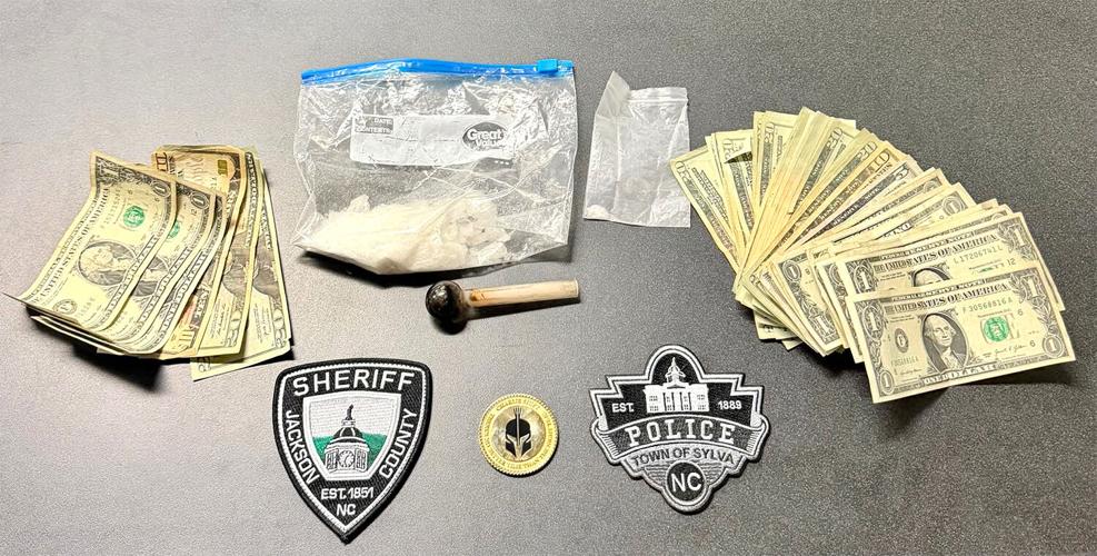 Police seize large quantity of drugs during traffic stop | News ...