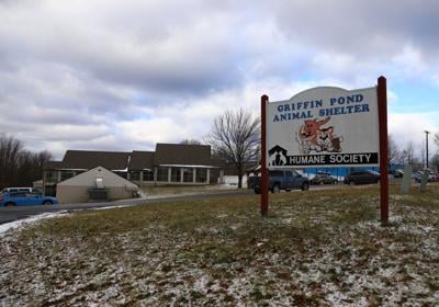Griffin Pond Animal Shelter to offer reduced adoption fee May 2-8