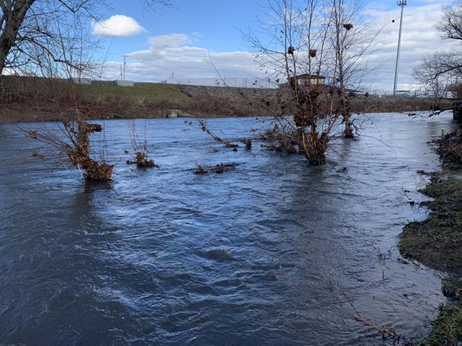 ShiverFest 2024 runs high and fast on swollen Lackawanna River in