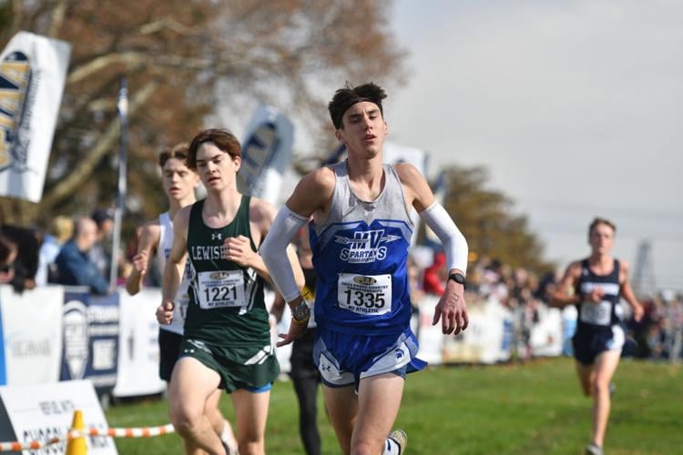 PIAA CROSS COUNTRY Five Lackawanna League boys earn state medals