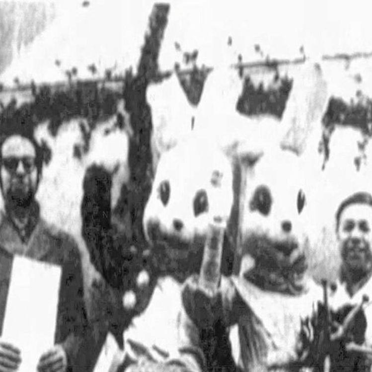 Easter Bunny Pictures Near Scranton