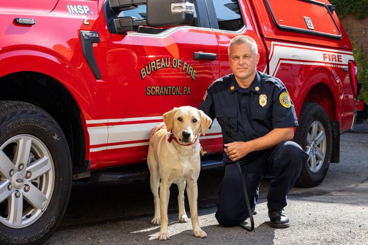 New Scranton firehouse dog is trained to help solve arson